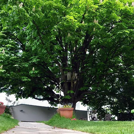 Lejlighed Castle Hill